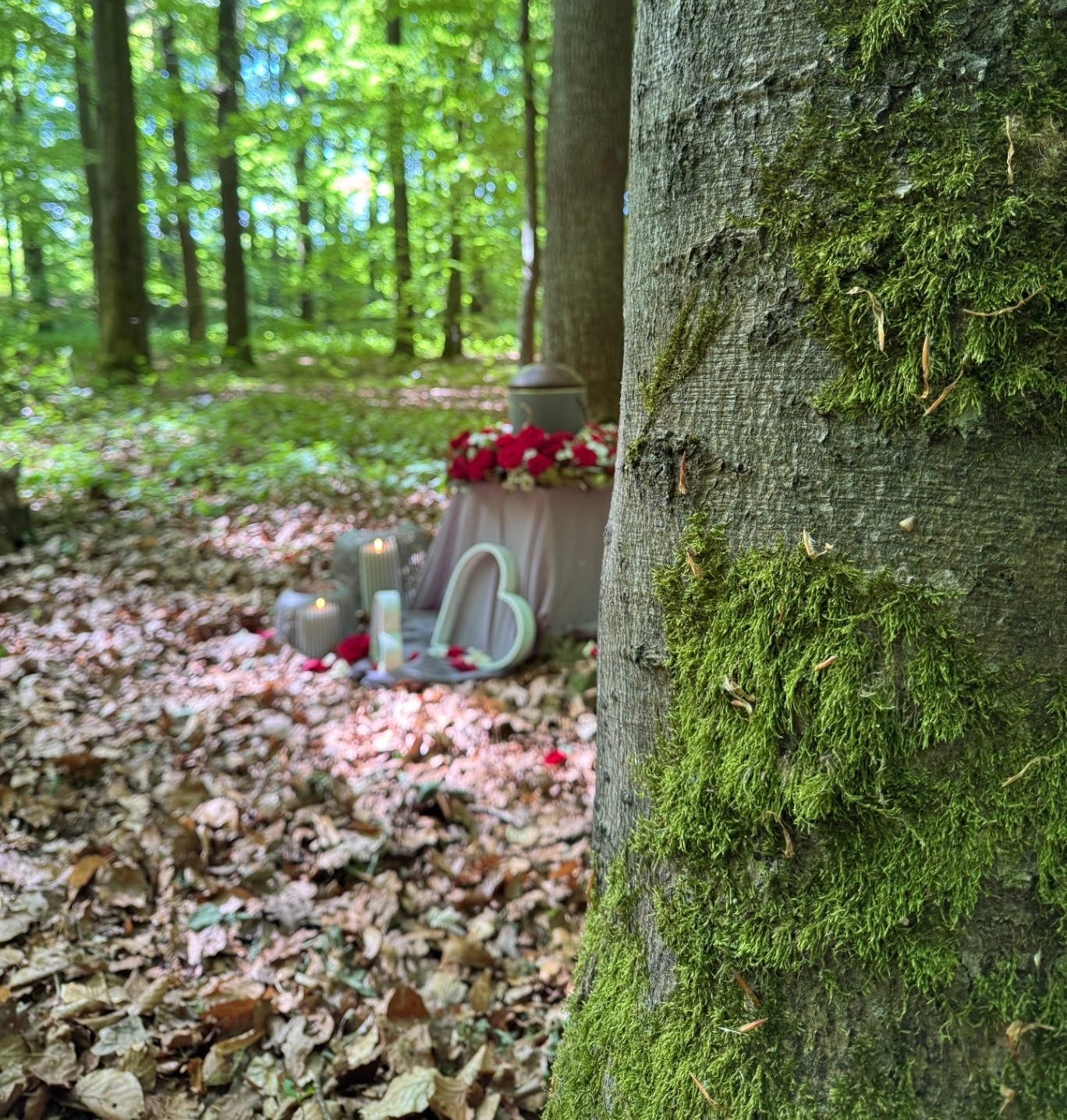 Baumbestattung Personal